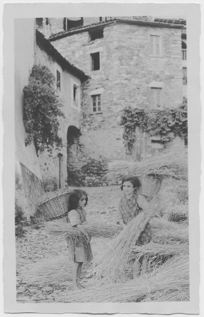 Bambine durante la raccolta della paglia a Sonvico